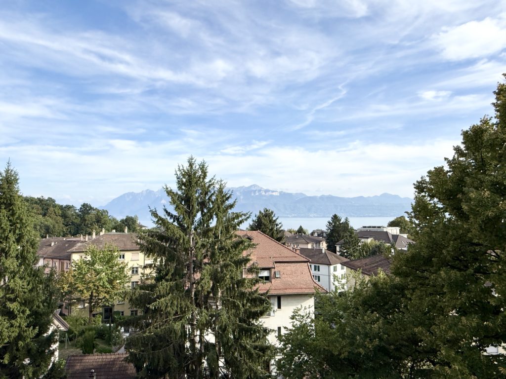IMG_7883 3